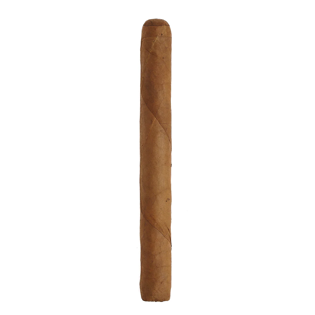 Gurkha Legend Overruns Churchill - Image 2