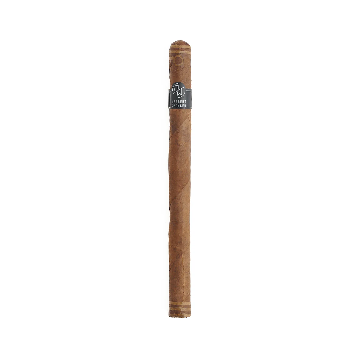 Jake Wyatt Hervert Spencer Lancero - Image 3