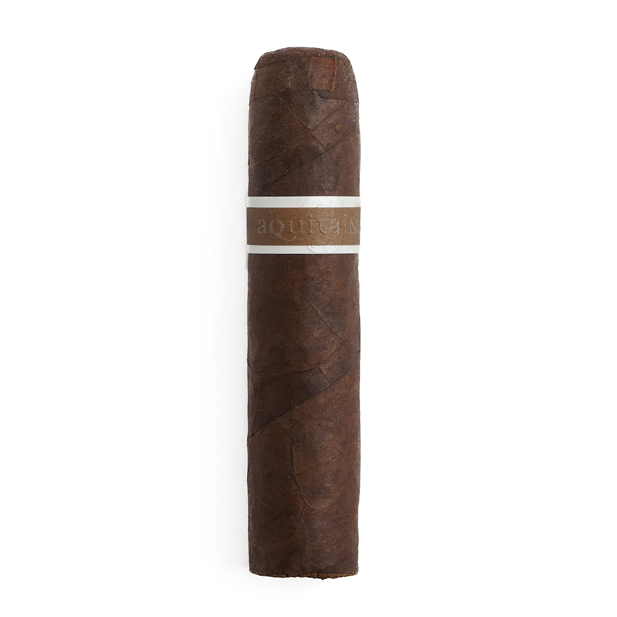 RoMa Craft CroMagnon Aquitaine Mandible - Image 3